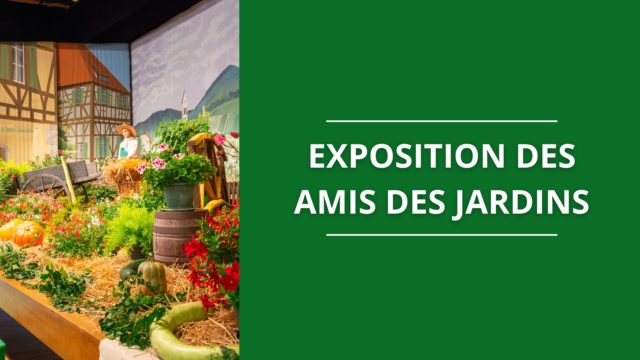 https://www.jackykeller2020.fr/wp-content/uploads/2024/09/20241005-expo-amis-des-jardins-Drusenheim-640x360.jpg